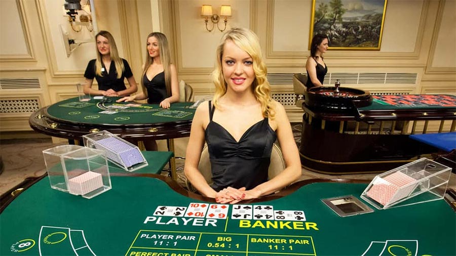 Piggy Gold สูตร